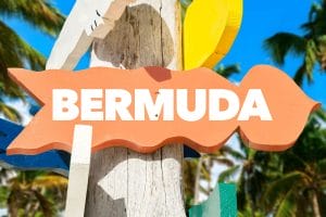 Live In bermuda